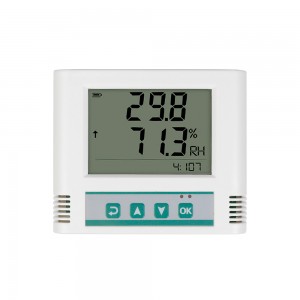 Industrial Temperature and Humidity Sensor with Display