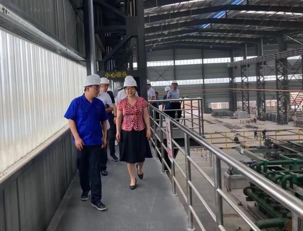 El responsable del proyecto "Diez mil personas ayudan a diez mil empresas" de la provincia de Henan visitó Anyang Longteng