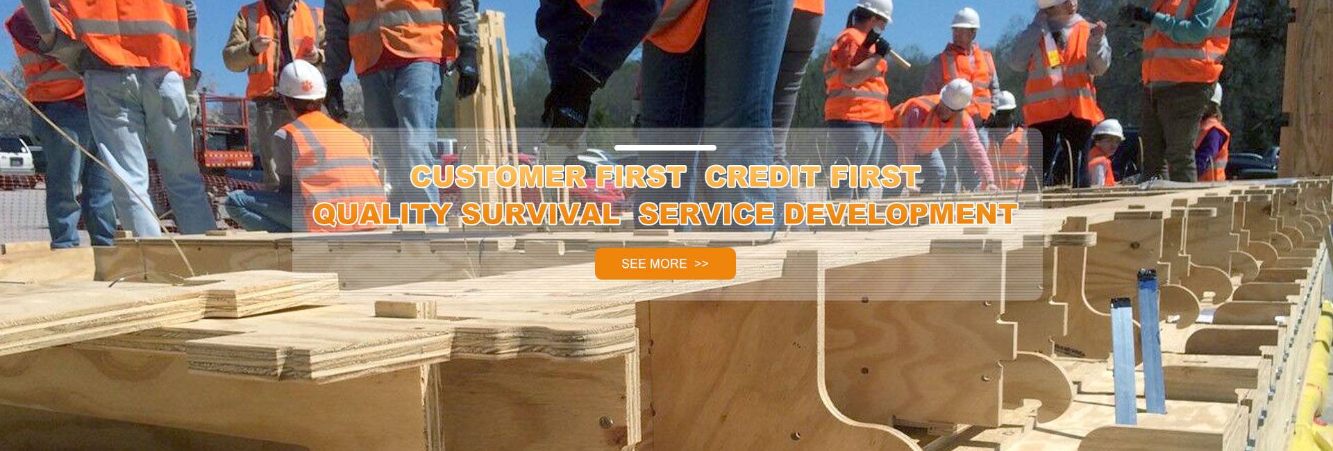 Household First, Credit First, Quality Survival, Service Development