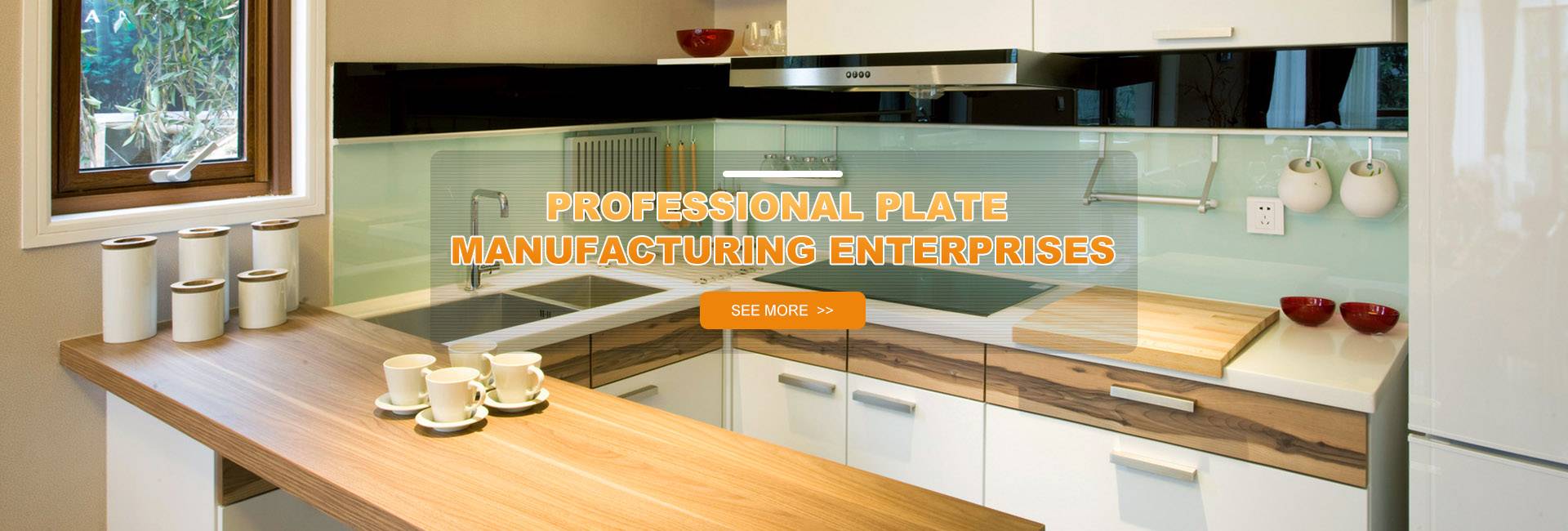 Professional Plate Manufacturing Enterprises