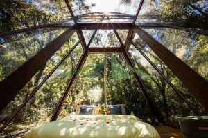 Luxury Resort Tent All Glass glamping Tente NO.008