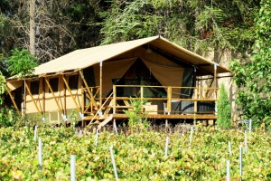 Hotel Wooden Structure Waterproof Canvas Safari Tent Manufacturer NO.052