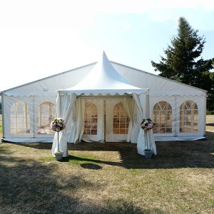 Custom Polygon Multi Size Event Tent