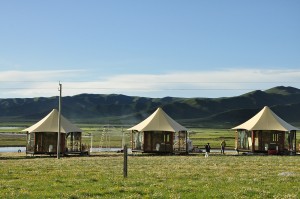 Miljøvenlige Grassland Luksushotel telt
