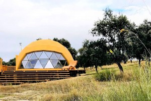Customize Glamping Dome Tent Wooden Outdoor Tent