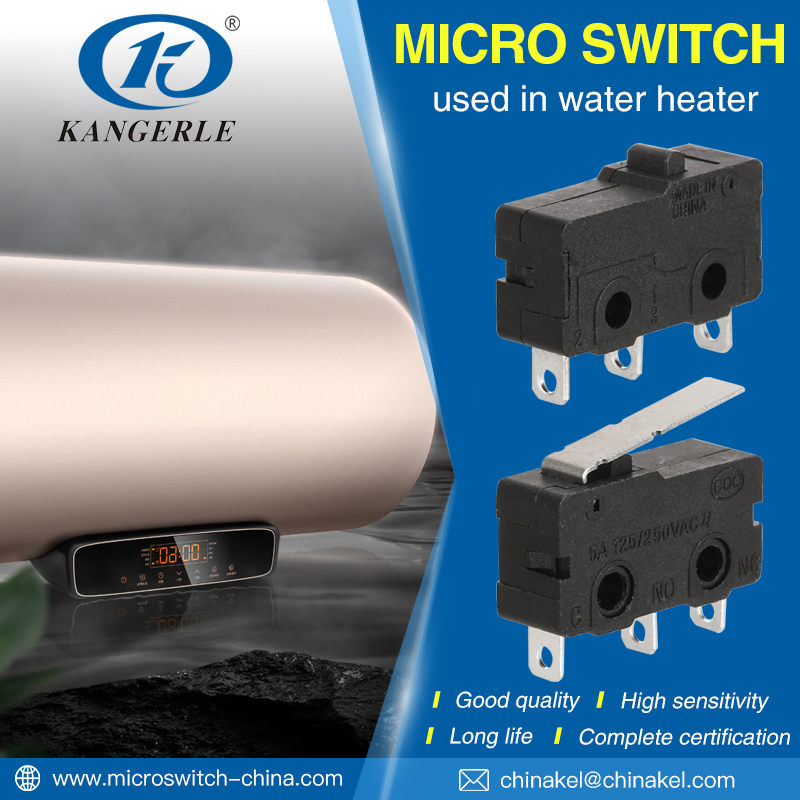 Water Heater Micro Switch