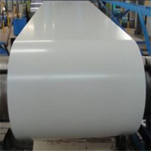Kleurde OmRopFryslan Steel sheet Dx51d Z100