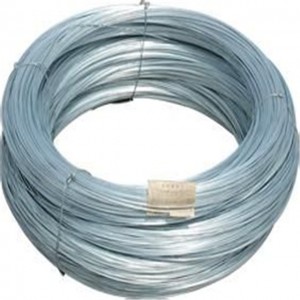 hot dip galvanized ສາຍເຫຼັກຝຣັ່ງ 2.5mm Galvanized Steel Wire