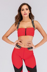 China wholesale Two Piece Bandeau Bikini - Miss adola Women activewear YD-CO97+YD-CO98 – Yongdian