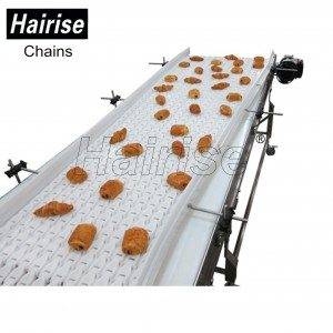 Hairise Straight Conveyor for Bread Industry(or Other Food)