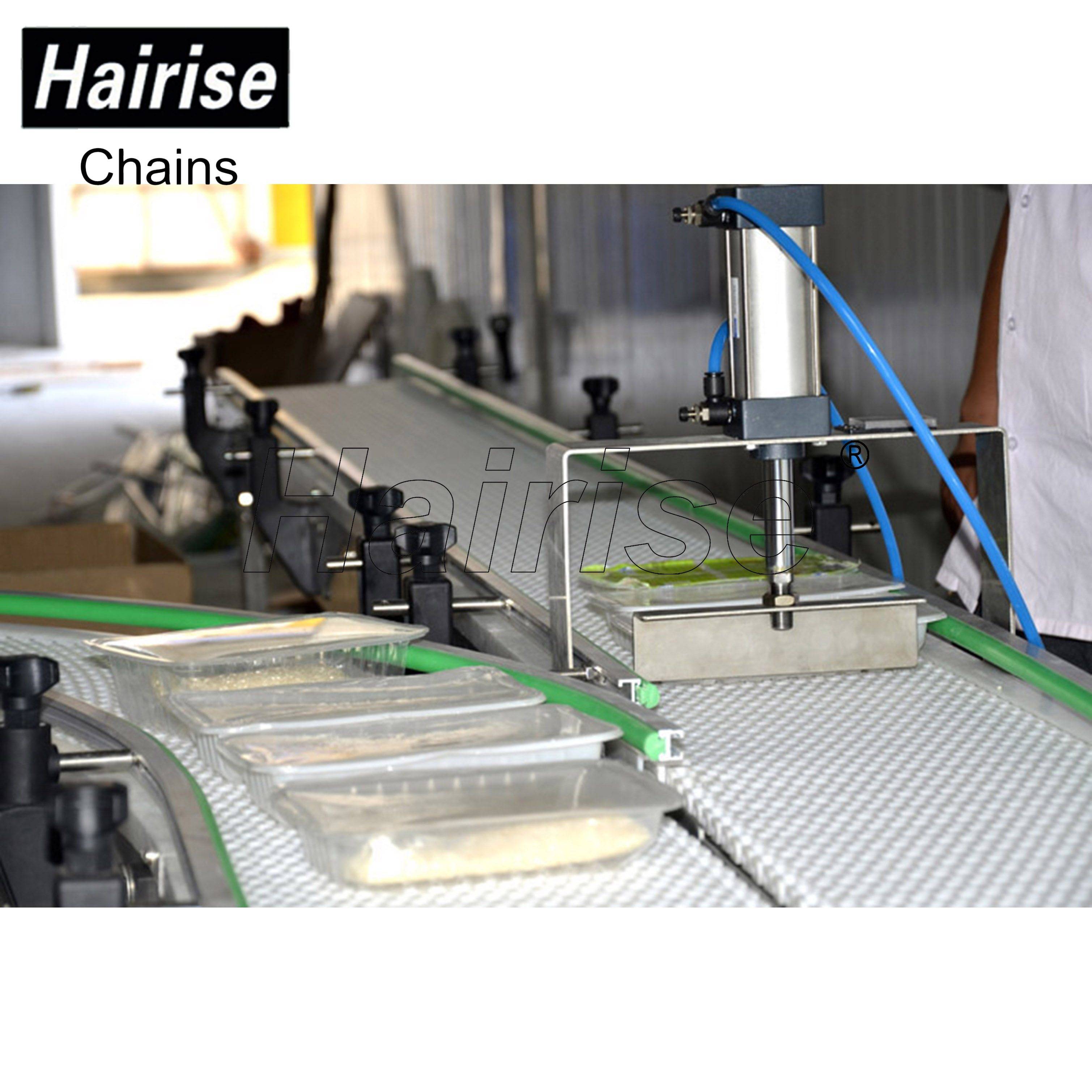 Hairise Food Grade Plastic Belt Conveyor System with Detector