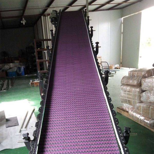 Hairise Inclined Modular Belt Conveyor with Rubber Featured Image