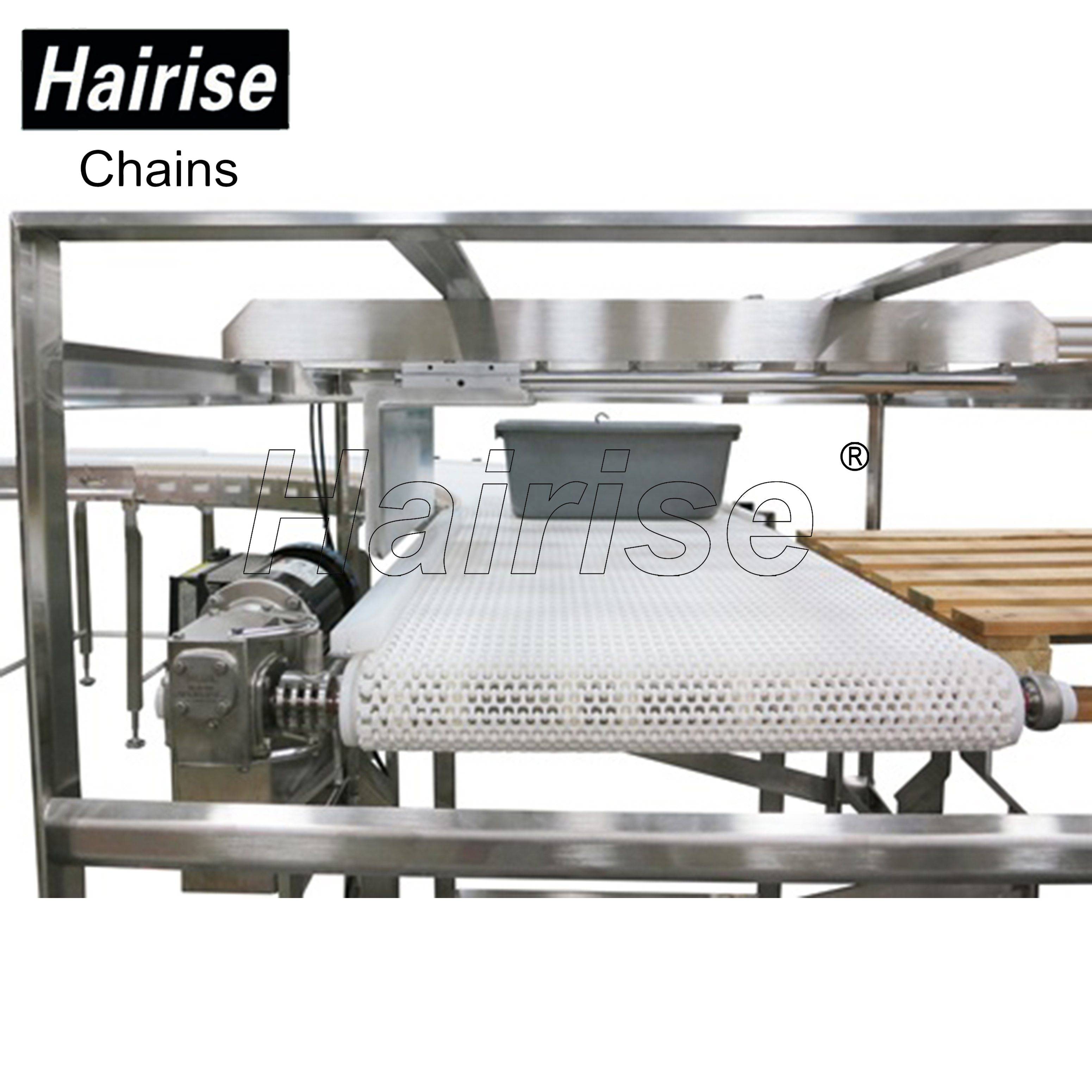 Hairise Detector Conveyors with Modular Belts or Slat Top Chains Featured Image