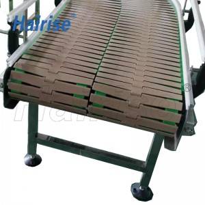 Hairise straight conveyor with plastic top chains
