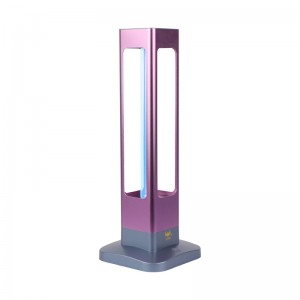 Fixed Competitive Price China New Air Ozone Remote Timing Ultraviolet Disinfection Lamp