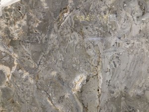 OEM Customized Pink Marble Tile -
 Tundra Gold Marble – Union