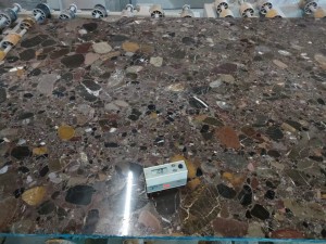 Fossil brown marble