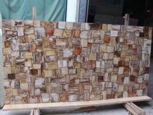 petrified wood fossil square stone