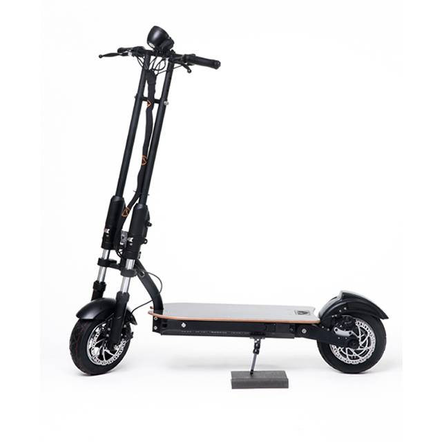 Electric Scooters GCM-1003 Featured Image