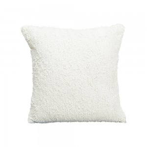 Other Pillow-XUE7755