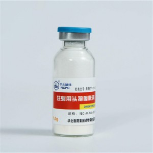 Ceftiofur Sodium for Injection