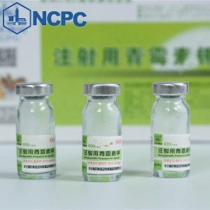 Benzylpenicillin Sodium for Injection