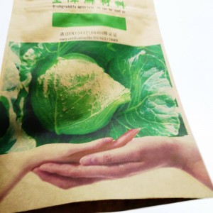 Biodegradable PLA stand up dried fruit pouch