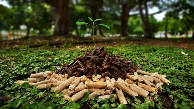 Group of scientists see wood pellets as a threat to the climate