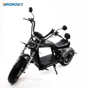 ORIDINGWAY Luqi 3000W citycoco scooter off road