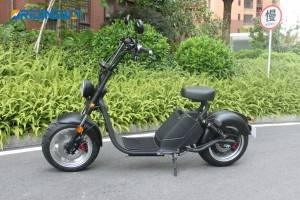 ORIDINGWAY Caigiees EEC big wheel electric scooter
