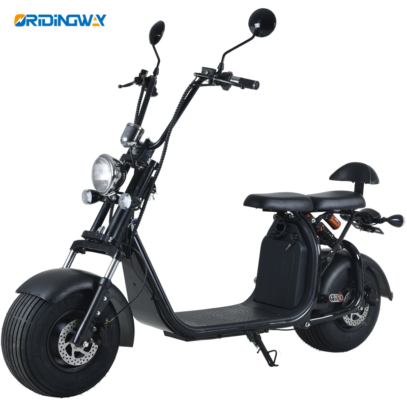 Double seat COC approval electric harley scooter citycoco with removable battery