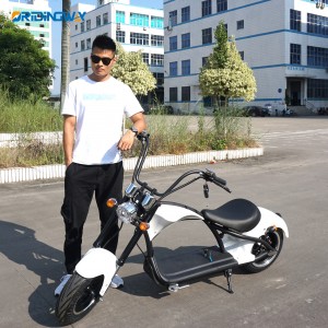 ORIDINGWAY MANGOTEEN big wheel scooter 2000W citycoco