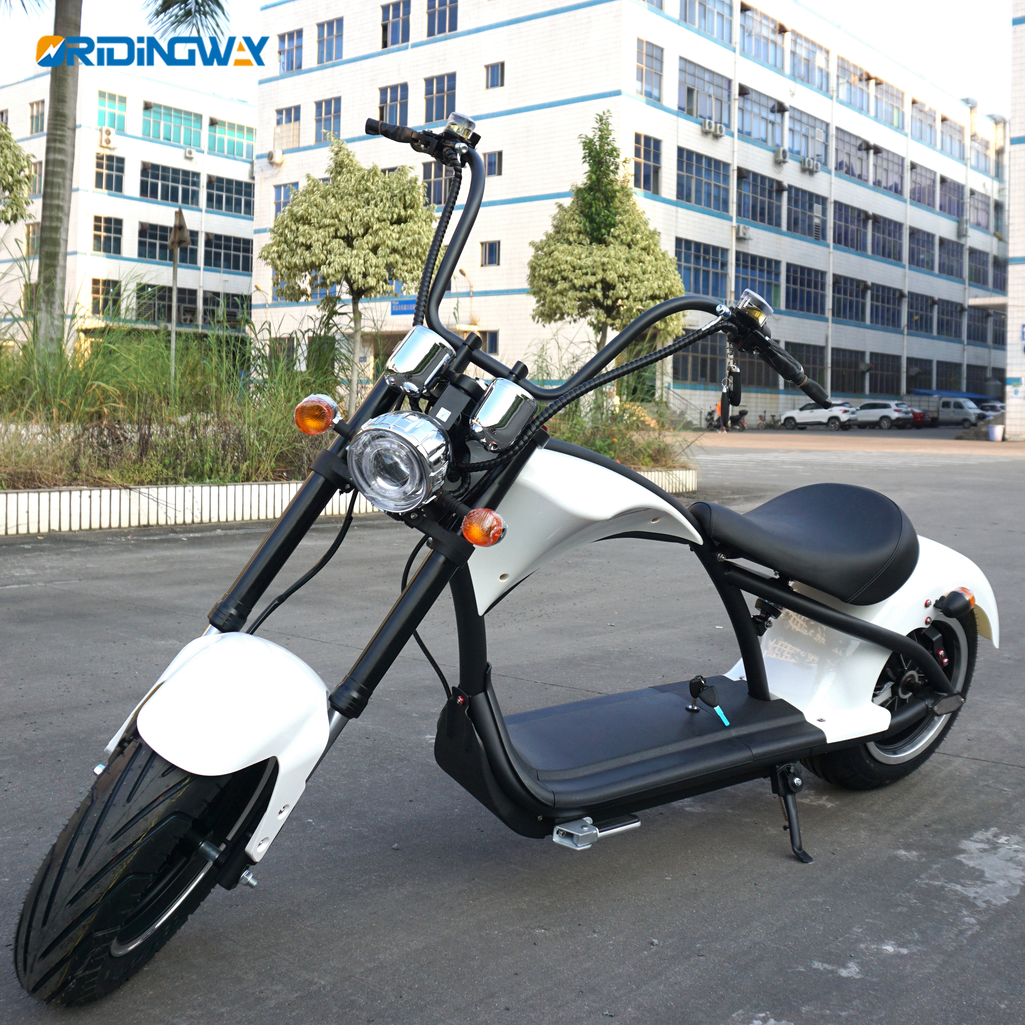 ORIDINGWAY Super EEC electric city coco scooter (6)