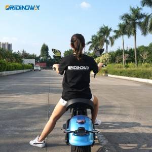 ORIDINGWAY 3000W M8 citycoco scooter for sale