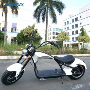 ORIDINGWAY citycoco scooter for sale