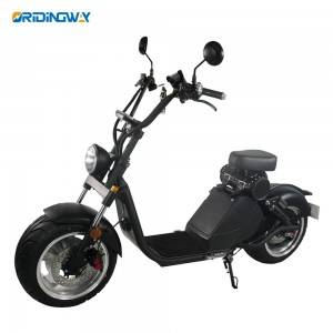 Hot Sale for Eec City Coco - Caigiees EEC electric scooter citycoco – Onway