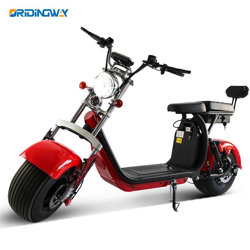 EEC approval big wheel citycoco scooter ORIDINGWAY