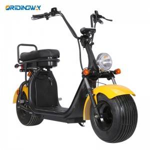 ORIDINGWAY citycoco harley scooter with EEC COC approval