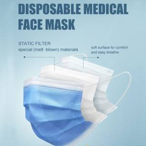 OEM/ODM Manufacturer Medical Product - 3 Ply Medical Face Mask With Earloop – Pantex