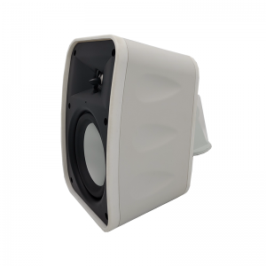 WS-5260 5” 80W Coxial Wall-Mount Speaker Picture Show