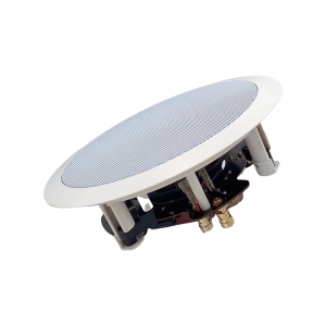 CS-590 8” 90W 8ohm Coaxial Ceiling Speaker Picture Show