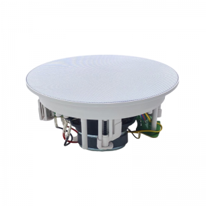 CS-611 6.5” 100W  Coaxial Ceiling Speaker Picture Show