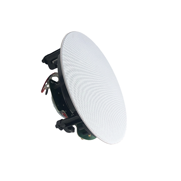 Professional Design Sound Zone Mini Speaker - CS-890 8”100W 8ohm Coaxial Ceiling Speaker  – Q&S