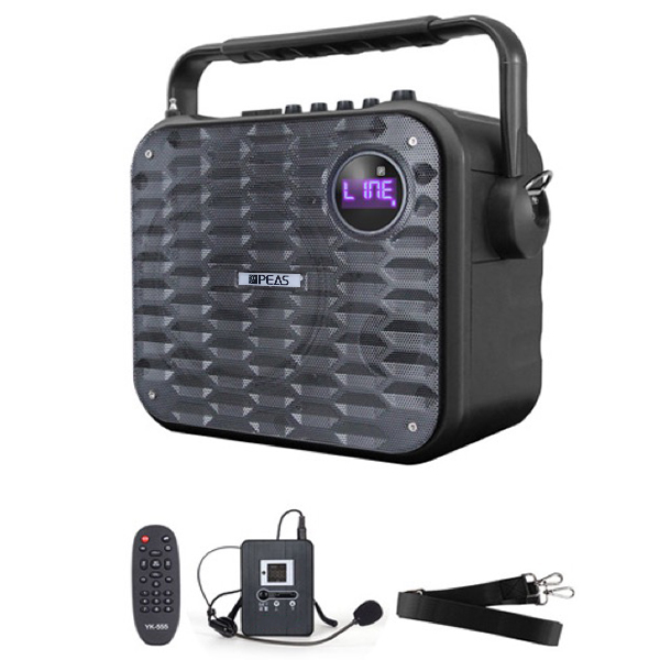 Good Quality 350-Watt Karaoke Amplifier - PS06-1 Portable Handheld Trolley Speaker – Q&S