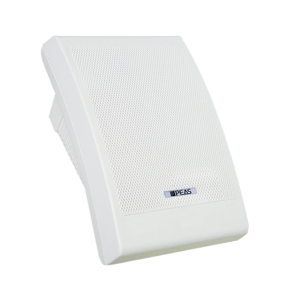 WS810 10W Wall-mount Speaker