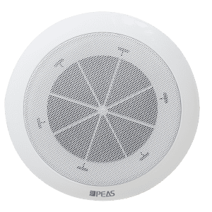 Discountable price China Professional Coaxial Ceiling Speaker for Home Cinema Shop Mall Restaurant Hotel Super Market Conference Hall Classrooms Museums with CS-504