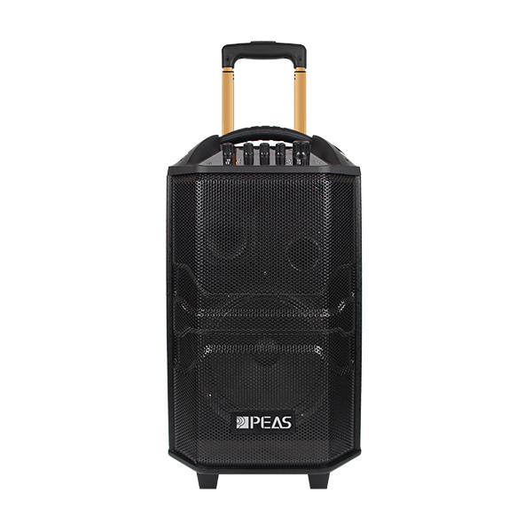Trending Products Mini Speaker - PS1029 Outdoor 10” 60W Trolley Speaker – Q&S