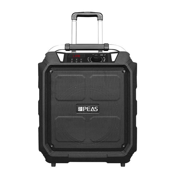 Discount Price High Quality 4 Channel Dj Mixer - PS06-3 Outdoor 10” 60W Trolley Speaker – Q&S