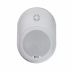 WS840 Wall-mount Speaker