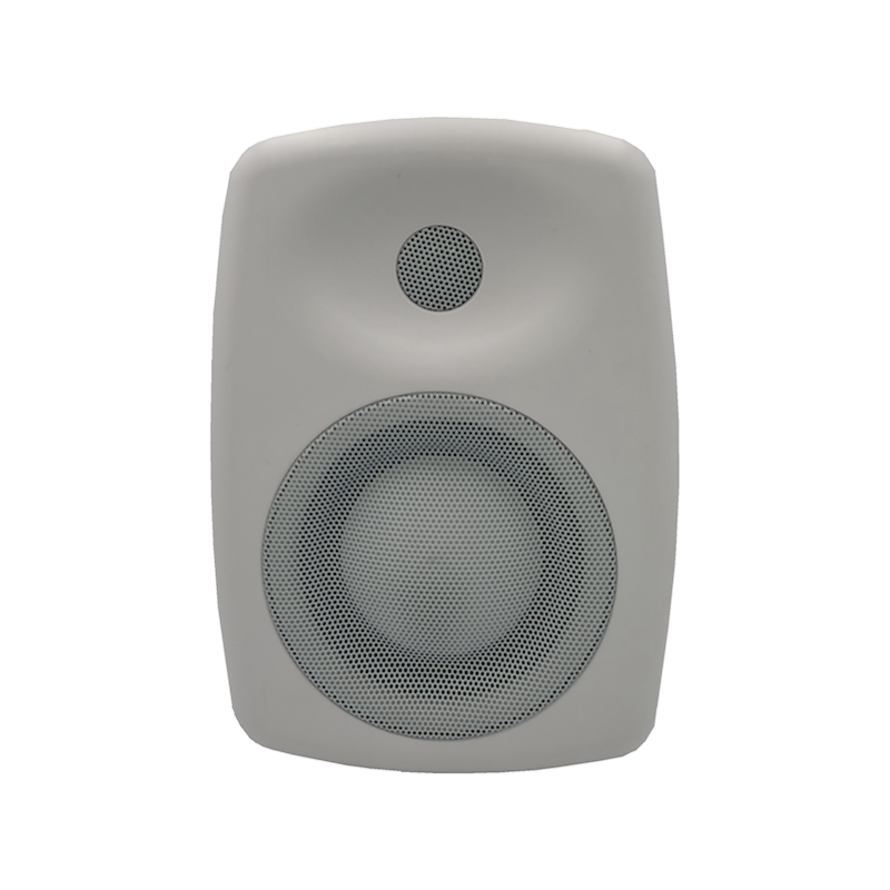 Personlized Products Megaphone With Alarm - WS-6261  5” 80W HIFI Wall-Mount Speaker – Q&S